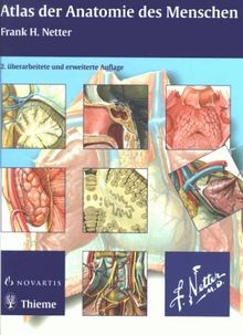 Atlas der anatomie des - anatomie,