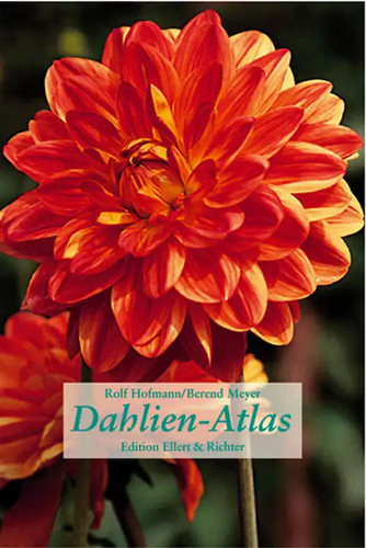 Dahlien-Atlas