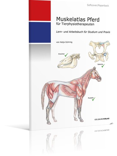 Muskelatlas pferd - pferd,