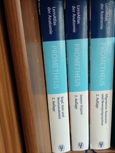 Prometheus kopf hals und - kopf,,